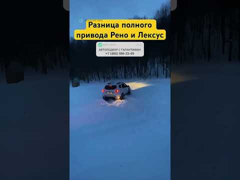 РАЗНИЦА 4WD у DUSTER и LEXUS #автоподбор #привозавто #автоприколы #автоновости #автоюмор РАЗНИЦА 4WD у DUSTER и LEXUS #автоподбор #привозавто #автоприколы #автоновости #автоюмор