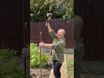 #funny #family #funnyvideo #couple #humor