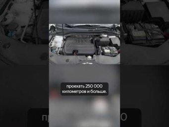 Как часто меняете масло? #automobile