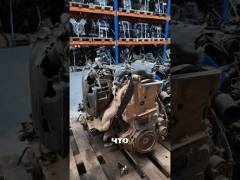 Гадкий утенок или настоящее сокровище ?