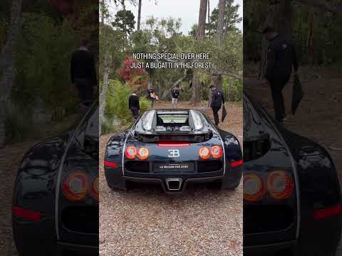 ПРОСТО BUGATTI VEYRON В ЛЕСУ ПРОСТО BUGATTI VEYRON В ЛЕСУ