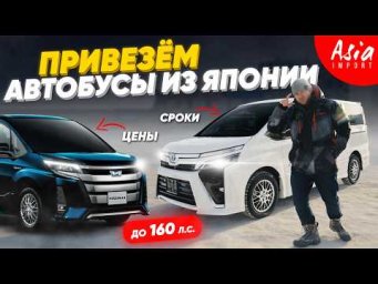 Noah Voxy Esquire РАСЧЕТ СТОИМОСТИ