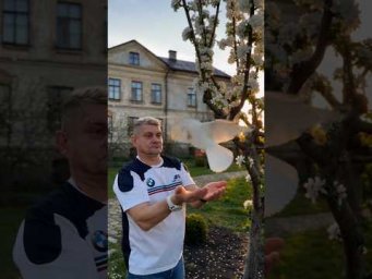 Мы выбираем лучшее