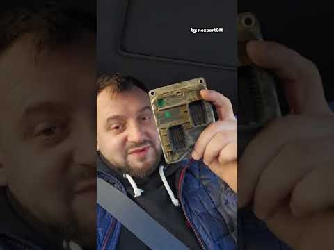 TG: nexpertGM Мозги, 