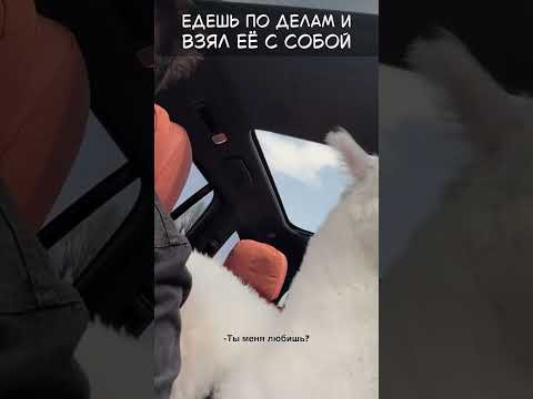 Едешь по делам и взял её с собой.