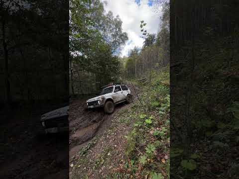 31 августа 2026 г.