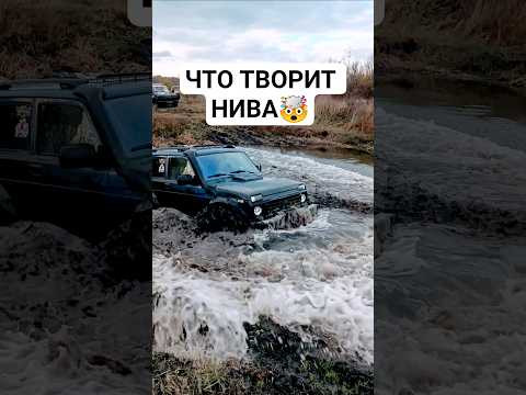 ЧТО ТВОРИТ НИВА на 31х КОЛЕСАХ. Не злите НИВУ. #автоврн #оффроад #нива #новаянива #турбонива #уаз ЧТО ТВОРИТ НИВА на 31х КОЛЕСАХ. Не злите НИВУ. #автоврн #оффроад #нива #новаянива #турбонива #уаз