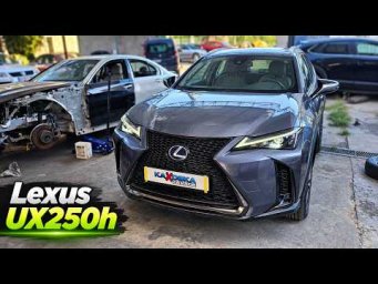 Lexus UX250h. Сборка морды в кучу. ФИНИШ.