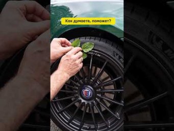 Как думаете, поможет? 