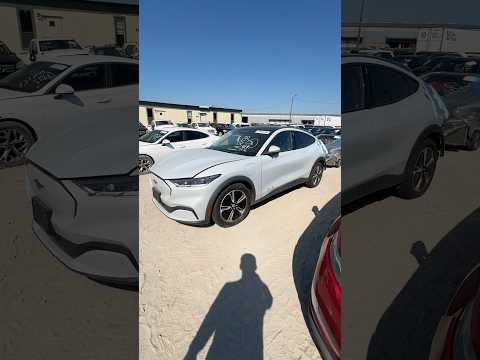 21 августа 2026 г. 21 августа 2026 г.