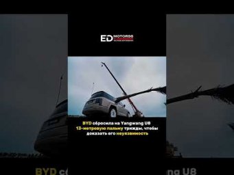13-метровую пальму трижды сбросили на Yangwang U8