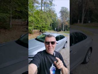 Тачку в лесу нашёл