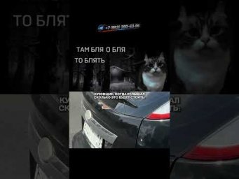 ГНИЛОЙ ФОКУС - БОЛЬ КУЗОВЩИКА! #автоподбор #подборавто #автоприколы #автоюмор