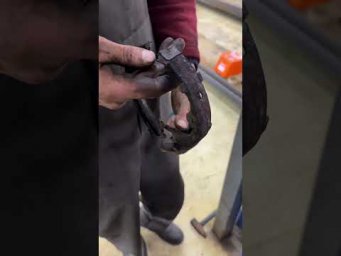 Видали такое?