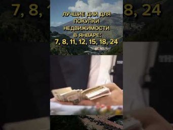 В январе часто выгоднее покупать недвижимость, чем в пике весенне‑осеннего спроса.