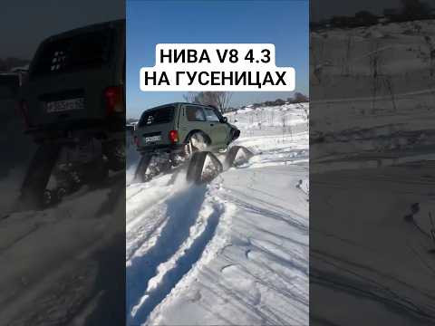НИВА ТАНК на ГУСЕНИЦАХ НИВА ТАНК на ГУСЕНИЦАХ