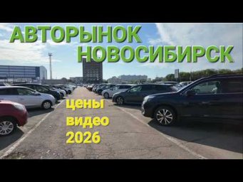 ЧТО С АВТОРЫНКОМ В НОВОСИБИРСКЕ⁉️ СЕГОДНЯ ИЮЛЬ 2026, ЦЕНЫ ВИДЕО