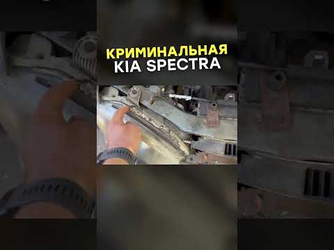Криминальная Kia Spectra
