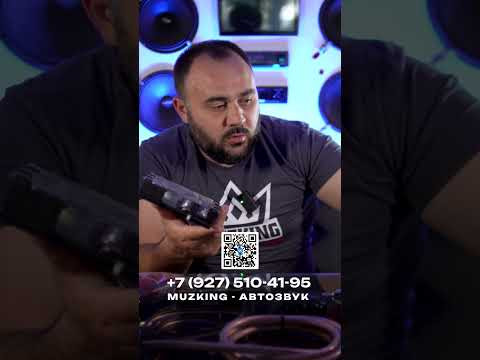 дистрибьюторы MuzKING дистрибьюторы MuzKING