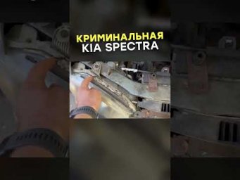 Криминальная Kia Spectra