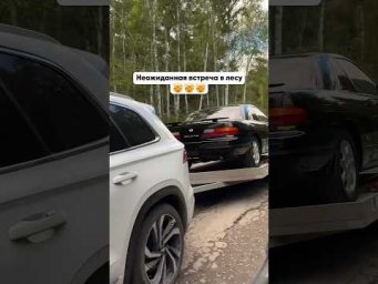 Продолжение неожиданной встречи в лесу&hellip; #азияимпорт