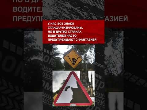 Это самые необычные дорожные знаки со всего мира. Смотри, чтобы не запутаться в случае чего