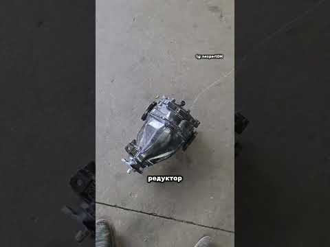 TG: nexpertGM Я не один такой!) #shorts #независимыйэксперт #георгиймедведев TG: nexpertGM Я не один такой!) #shorts #независимыйэксперт #георгиймедведев