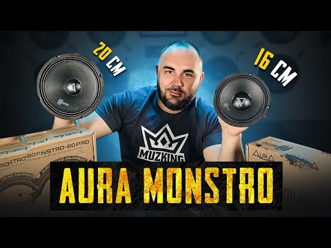 Самые громкие на феррите?!