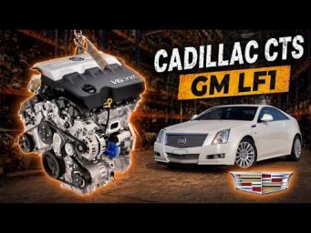 Американское качество или как выбрать контактный мотор LF1 ?