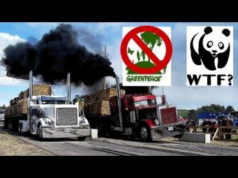 GreenPeace в ШОКЕ! - Дрэг-рейсинг грузовиков 2017