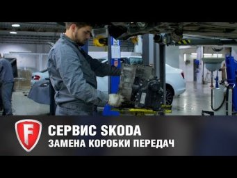 Замена коробки передач DSG на автомобиле SKODA - FAVORIT MOTORS