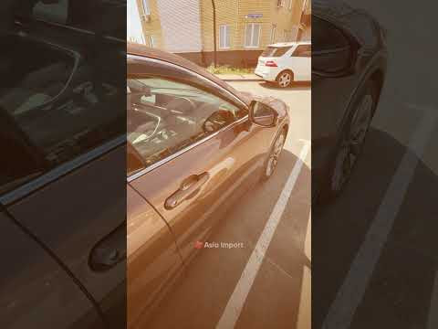 Стандартное сообщение от шефа