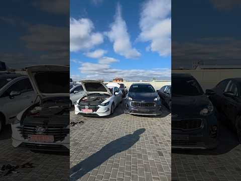 Kia Sportage 2wd 2.0 diesel з Кореї Kia Sportage 2wd 2.0 diesel з Кореї