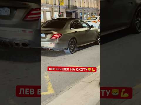 Львиный прайд Львиный прайд