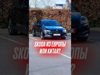 Летим за Skoda Superb в Германию #skodasuperb #автоизевропы #подборавто