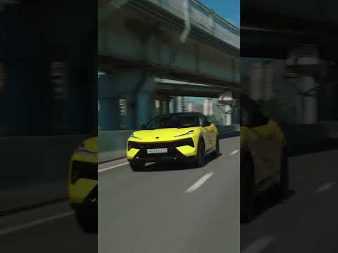 D3 Lotus For Me