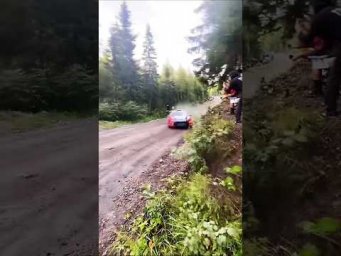 Silence broken. Rally mode ON 