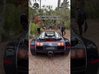 ПРОСТО BUGATTI VEYRON В ЛЕСУ 