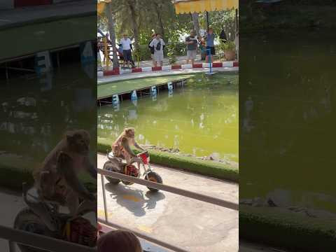 Был один мальчик Был один мальчик