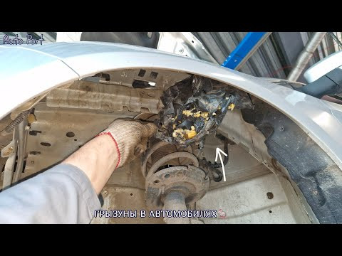 Жесть на СТО или будни автомехаников #299. Пузыри