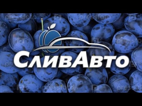 Тачки из ТГ каналов. Как искать? И стоит ли?