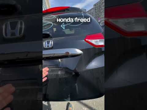 Привезли Honda Freed