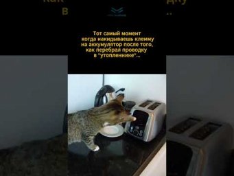 Тот самый момент истины для любого автоэлектрика! 