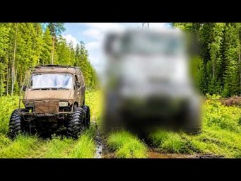 Лютая газель vs Илинг шоу и что скрывает старшее поколение....