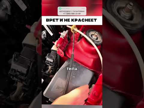 ЗА ТО ЦЕНА ПО НИЗУ РЫНКА! ЧТО ДЕЛАТЬ? #автоподбор #привозавто #автоприколы #автоновости #автоюмор ЗА ТО ЦЕНА ПО НИЗУ РЫНКА! ЧТО ДЕЛАТЬ? #автоподбор #привозавто #автоприколы #автоновости #автоюмор