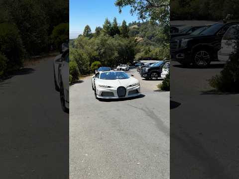 Когда встречаешь пачку BUGATTI Когда встречаешь пачку BUGATTI