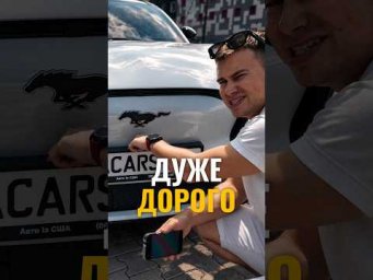 Не очікували такого від номерного знака 