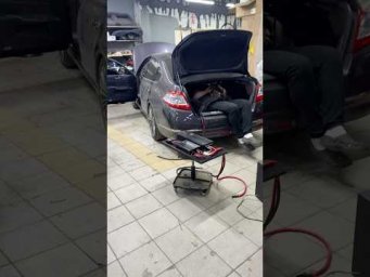 Установочный центр студии Медведь 