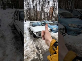 Как вам такой подснежник?