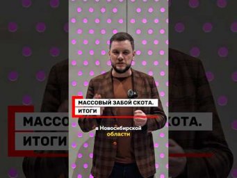 Контакты &ndash; в описании @yardrey #забойскота#ярдрей#убойскотановосибирск#новосибирск#юрист